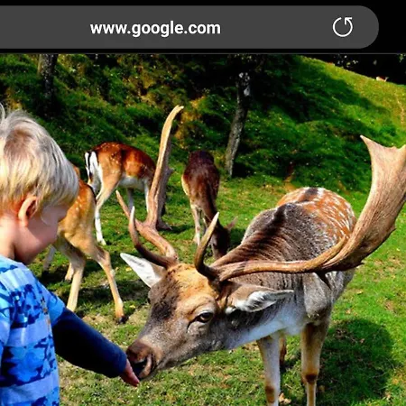 Pansiyon Perfect Apartma - - Free Parking! Maribor