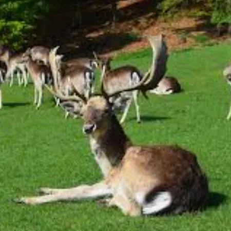 Pansiyon Perfect Apartma - - Free Parking! *