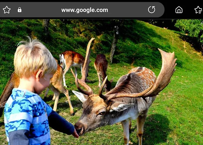 Ostanak kod kuće Perfect Apartma - - Free Parking! Maribor