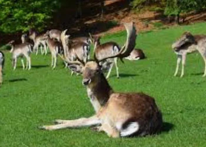 Ostanak kod kuće Perfect Apartma - - Free Parking! *